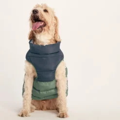 Fetch Padded Dog Coat L - Dark Indigo/Vanilla/Light Forest