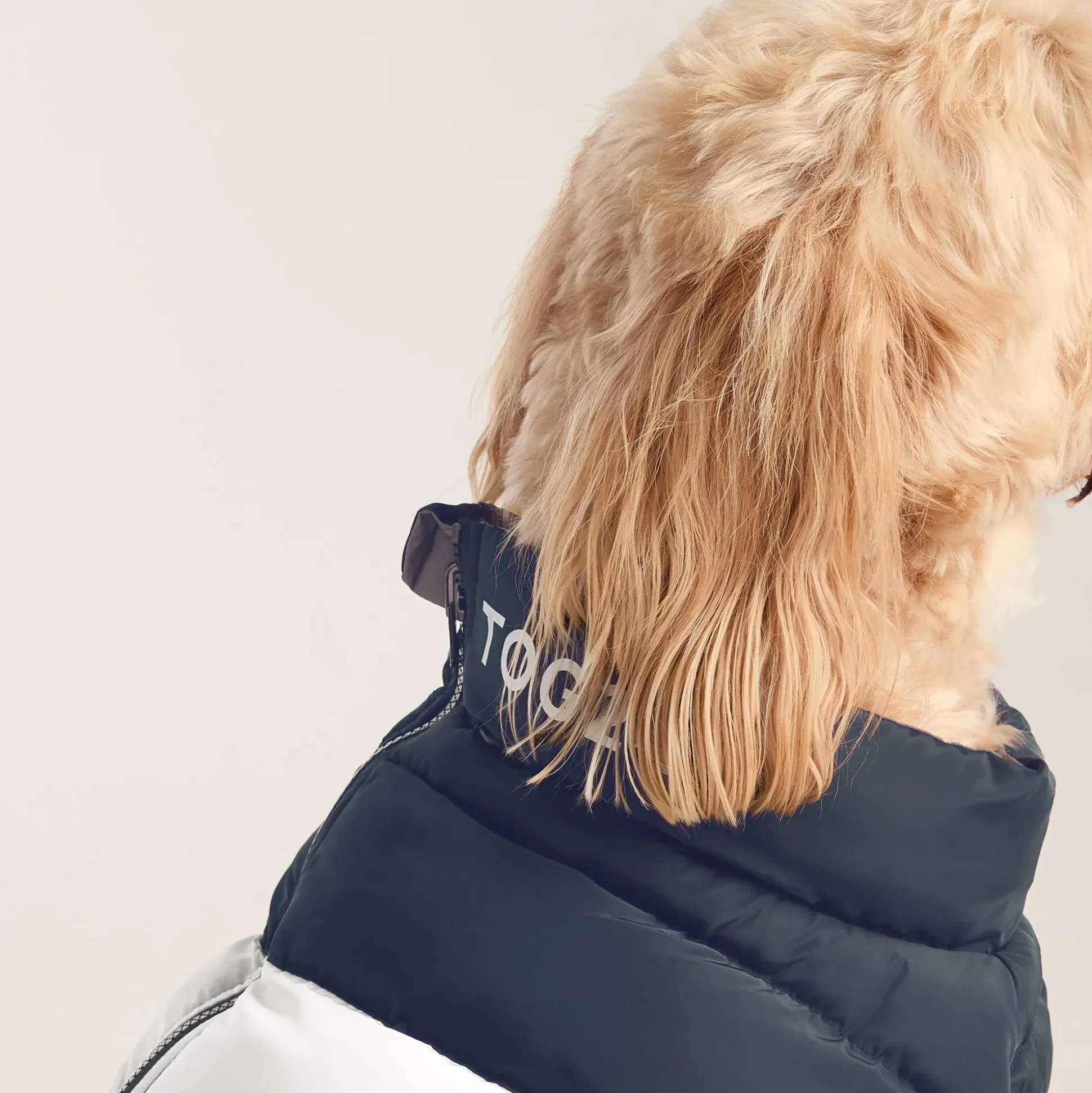 Fetch Padded Dog Coat L - Dark Indigo/Vanilla/Light Forest