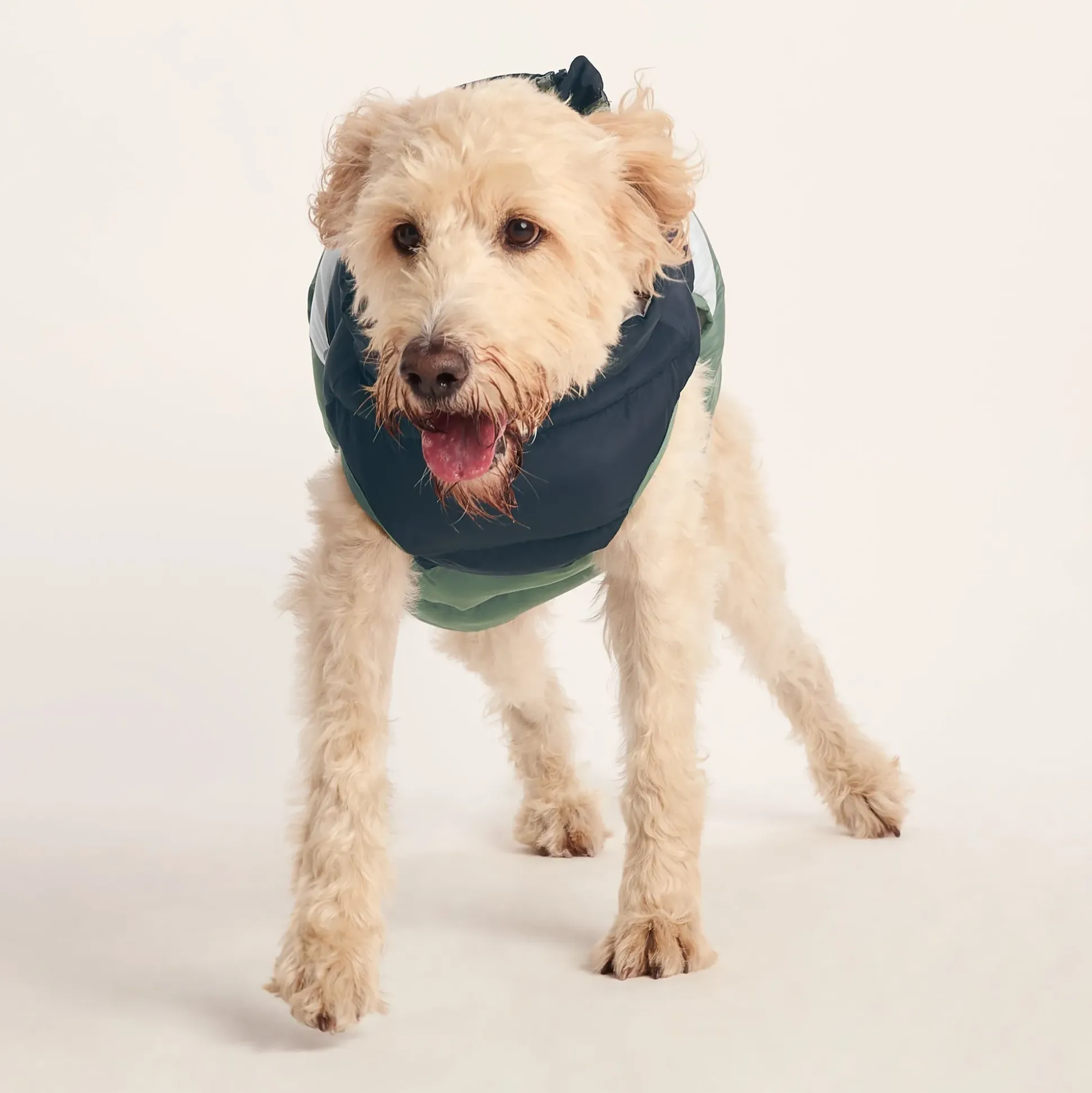 Fetch Padded Dog Coat L - Dark Indigo/Vanilla/Light Forest
