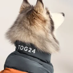 Fetch Padded Dog Coat L - Dark Indigo/Mahogany Orange/Dark Turquoise
