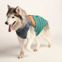 Fetch Padded Dog Coat L - Dark Indigo/Mahogany Orange/Dark Turquoise