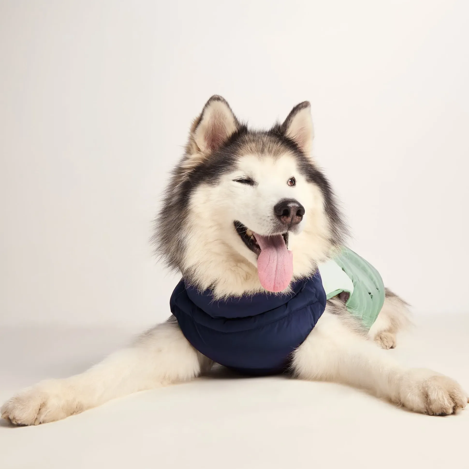 Fetch Padded Dog Coat L - Oxford Blue/Light Mist/Lavender Grey
