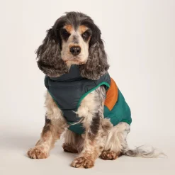 Fetch Padded Dog Coat M - Dark Indigo/Mahogany Orange/Dark Turquoise