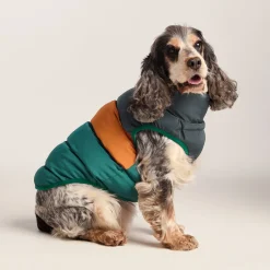 Fetch Padded Dog Coat M - Dark Indigo/Mahogany Orange/Dark Turquoise