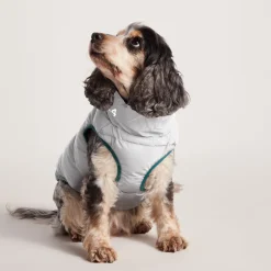 Fetch Padded Dog Coat M - Dark Indigo/Mahogany Orange/Dark Turquoise