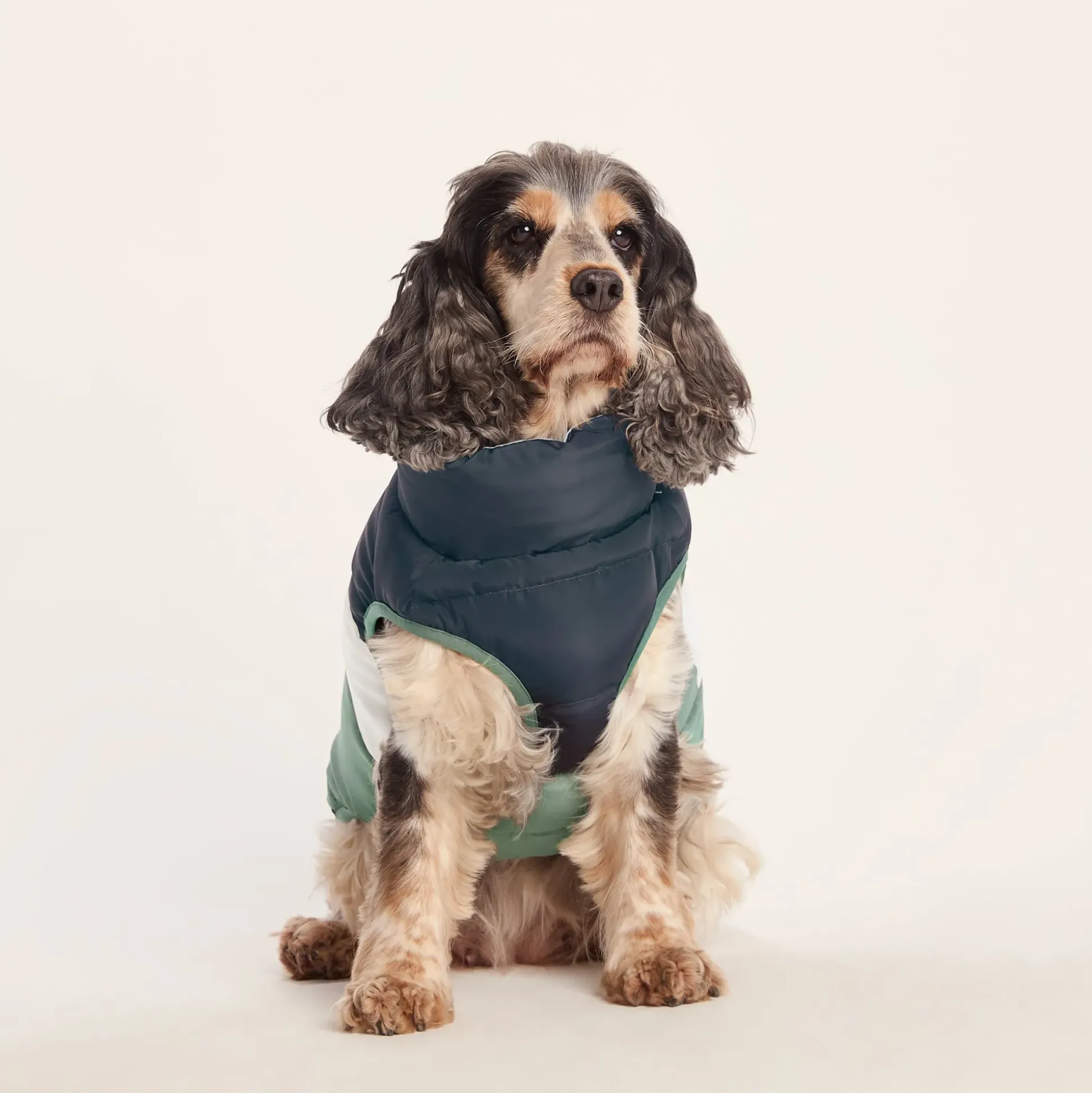 Fetch Padded Dog Coat M - Dark Indigo/Vanilla/Light Forest