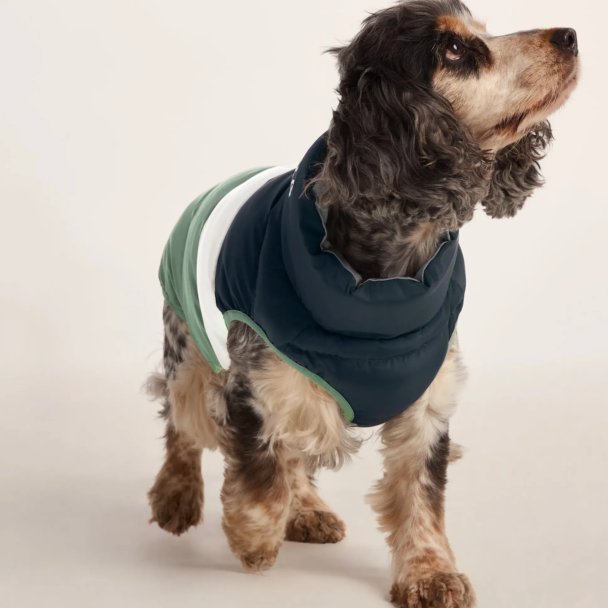 Fetch Padded Dog Coat M - Dark Indigo/Vanilla/Light Forest