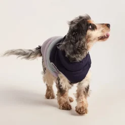 Fetch Padded Dog Coat M - Oxford Blue/Light Mist/Lavender Grey