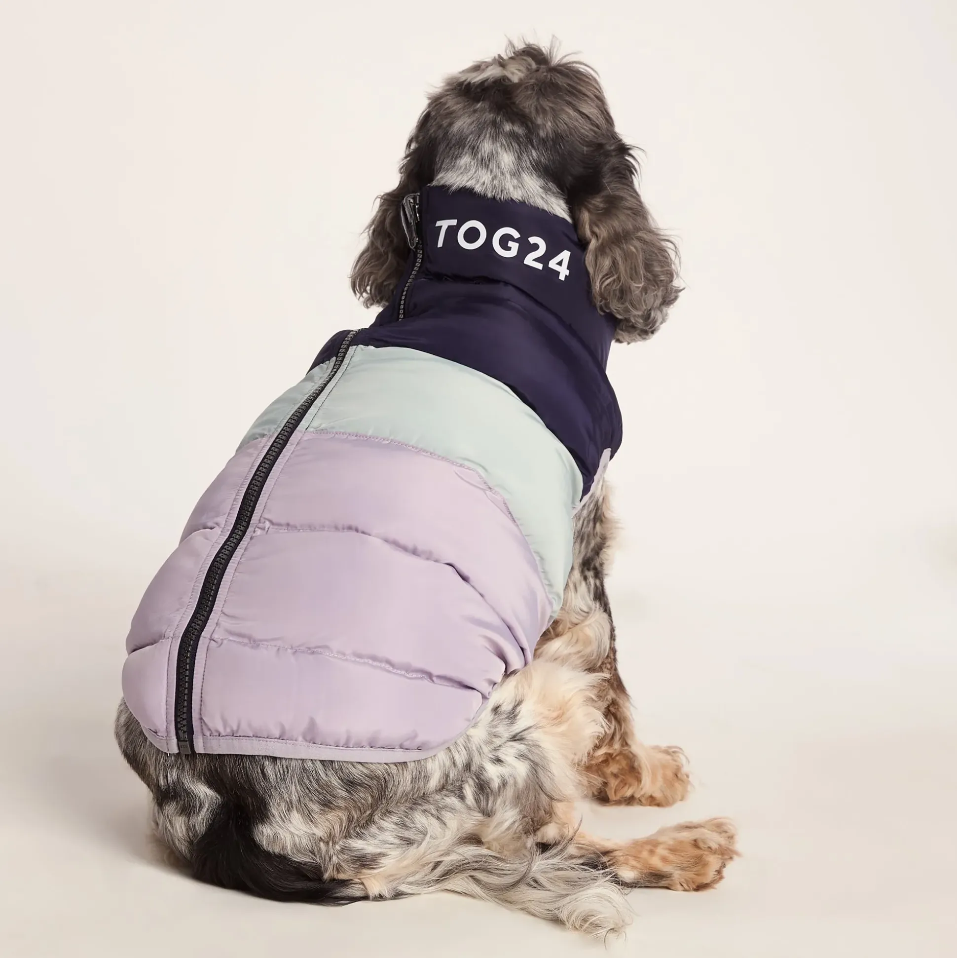 Fetch Padded Dog Coat M - Oxford Blue/Light Mist/Lavender Grey