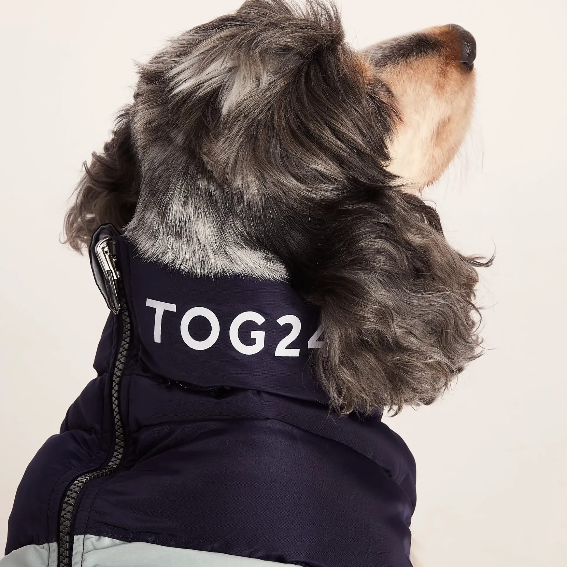Fetch Padded Dog Coat M - Oxford Blue/Light Mist/Lavender Grey