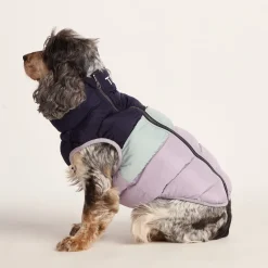 Fetch Padded Dog Coat M - Oxford Blue/Light Mist/Lavender Grey