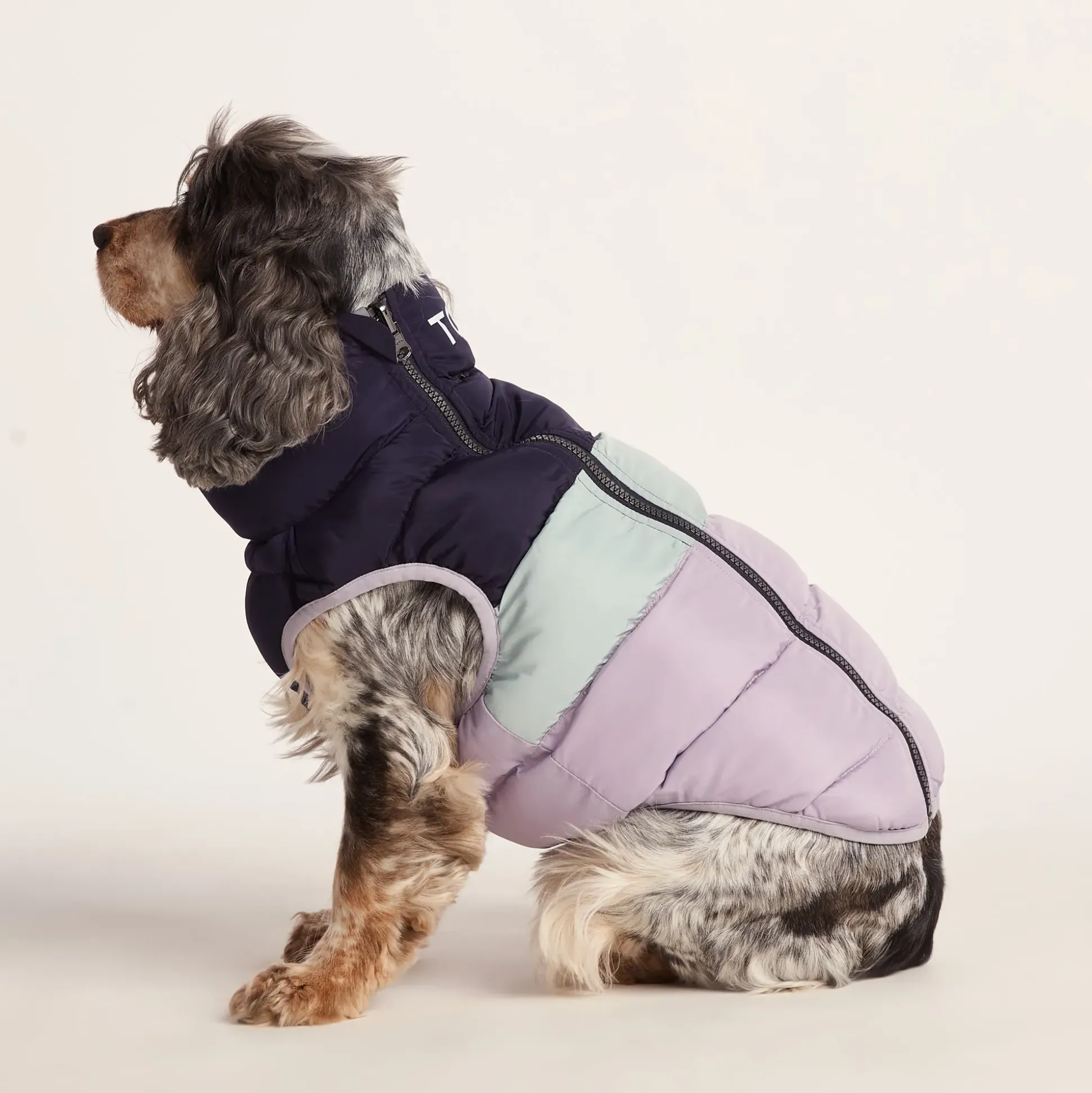 Fetch Padded Dog Coat M - Oxford Blue/Light Mist/Lavender Grey