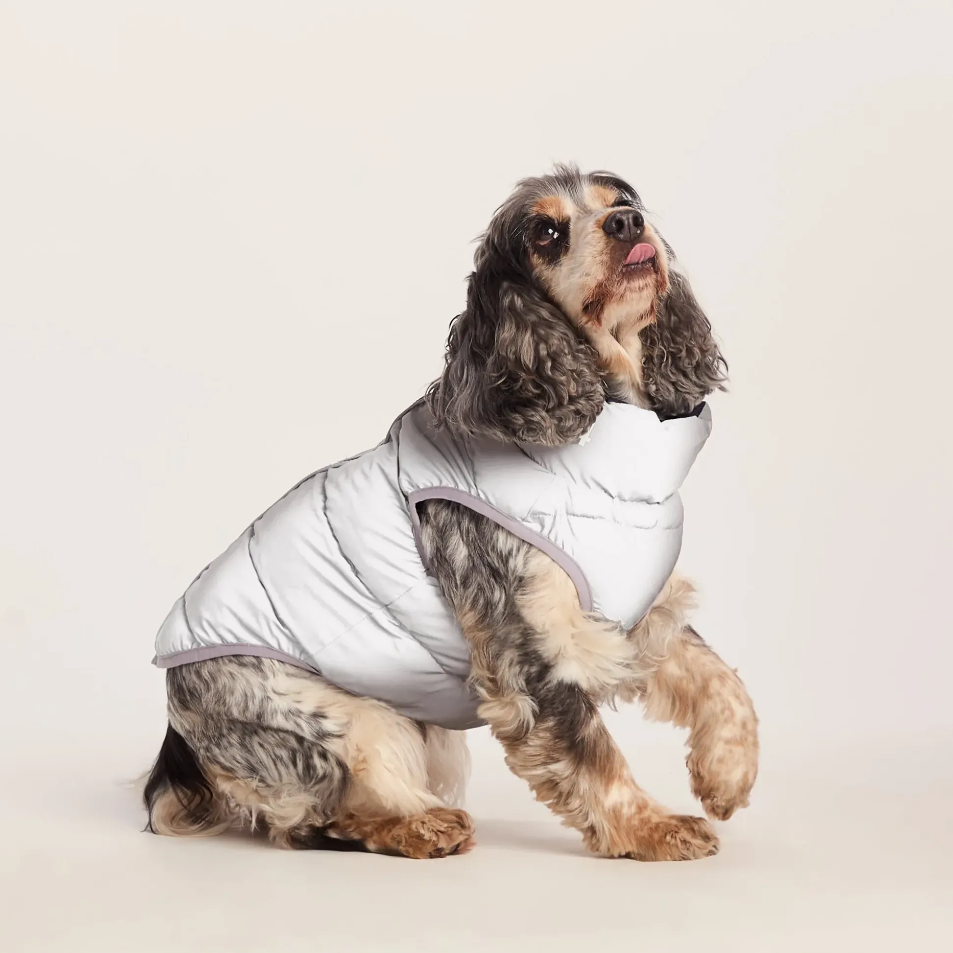 Fetch Padded Dog Coat M - Oxford Blue/Light Mist/Lavender Grey