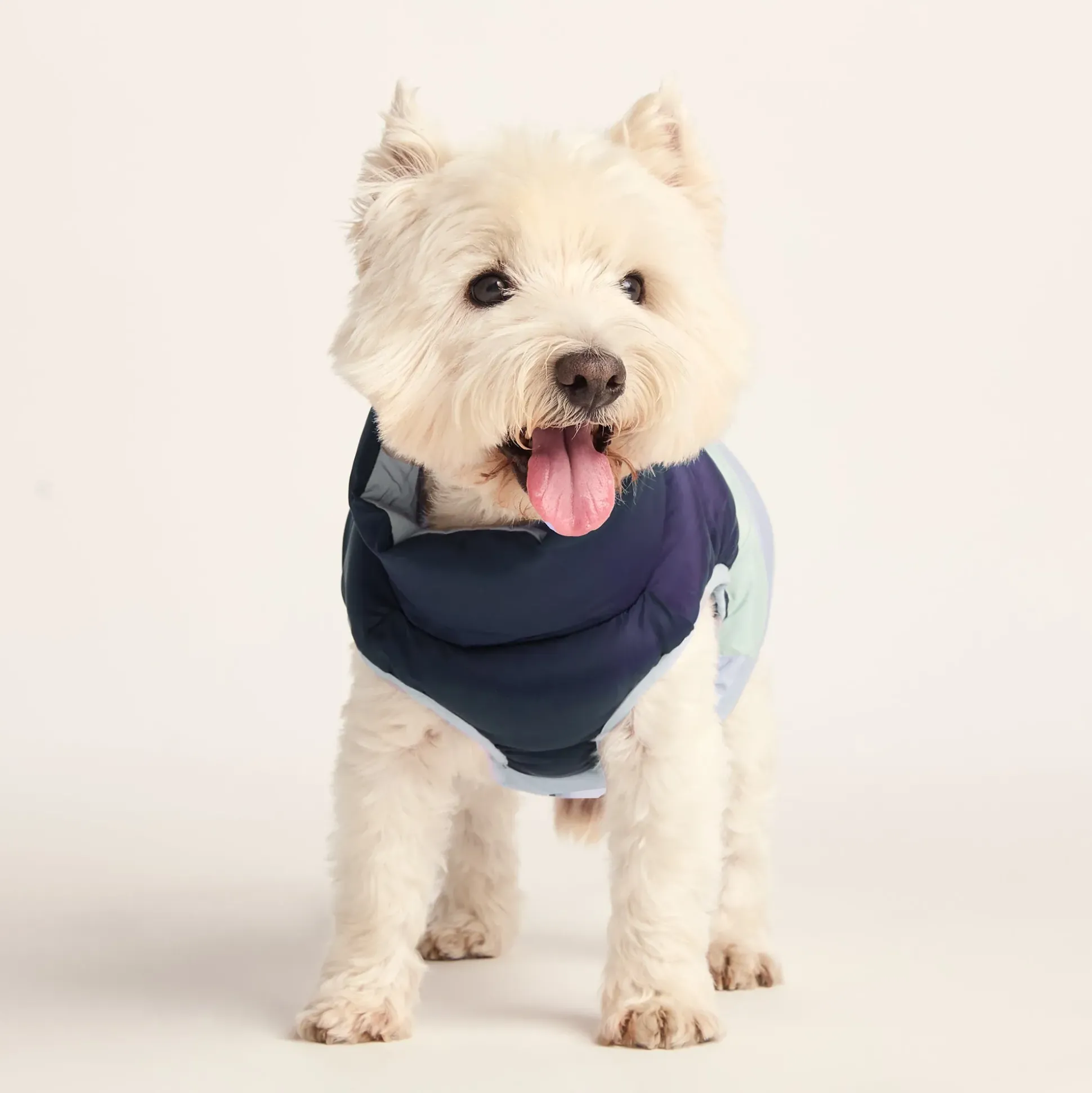 Fetch Padded Dog Coat S - Oxford Blue/Light Mist/Lavender Grey