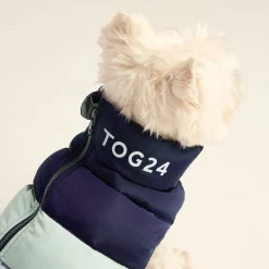 Fetch Padded Dog Coat S - Oxford Blue/Light Mist/Lavender Grey