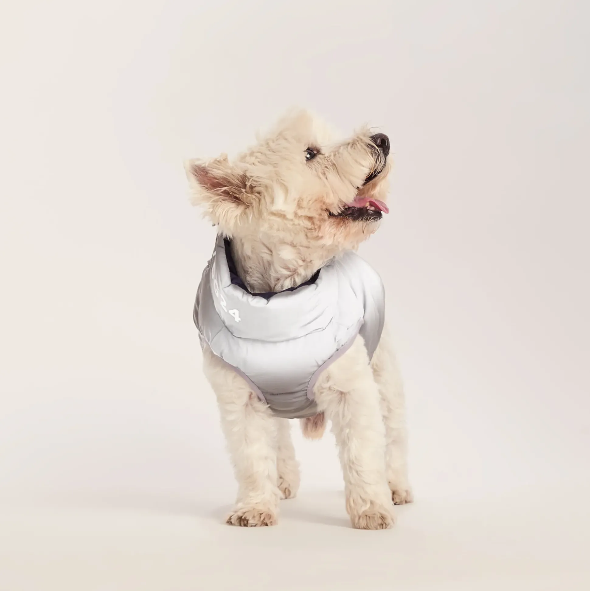 Fetch Padded Dog Coat S - Oxford Blue/Light Mist/Lavender Grey