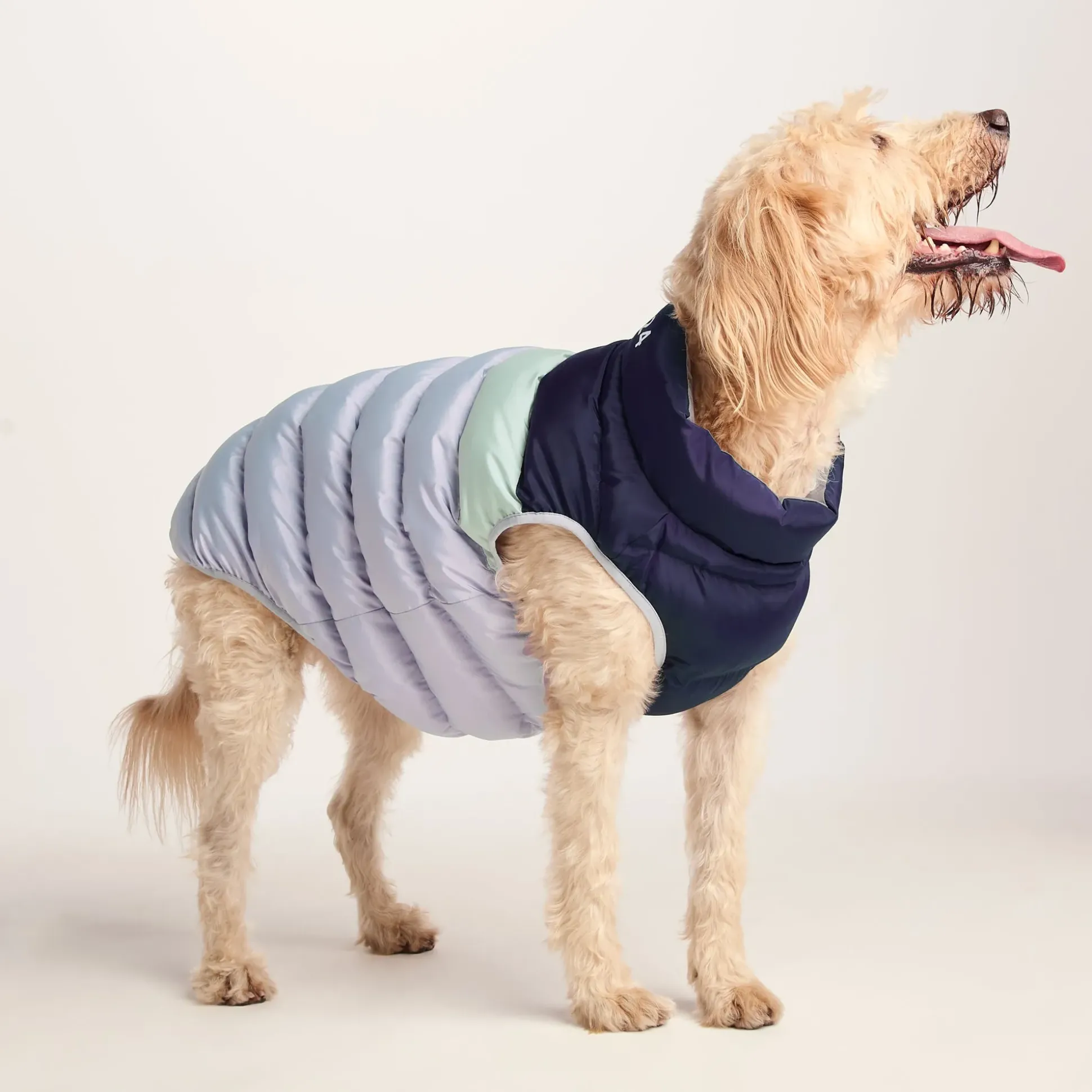 Fetch Padded Dog Coat XL - Oxford Blue/Light Mist/Lavender Grey