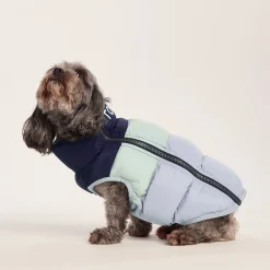 Fetch Padded Dog Coat XS - Oxford Blue/Light Mist/Lavender Grey