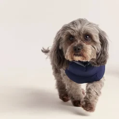 Fetch Padded Dog Coat XS - Oxford Blue/Light Mist/Lavender Grey