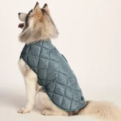 Fido Padded Dog Coat L - Graphite