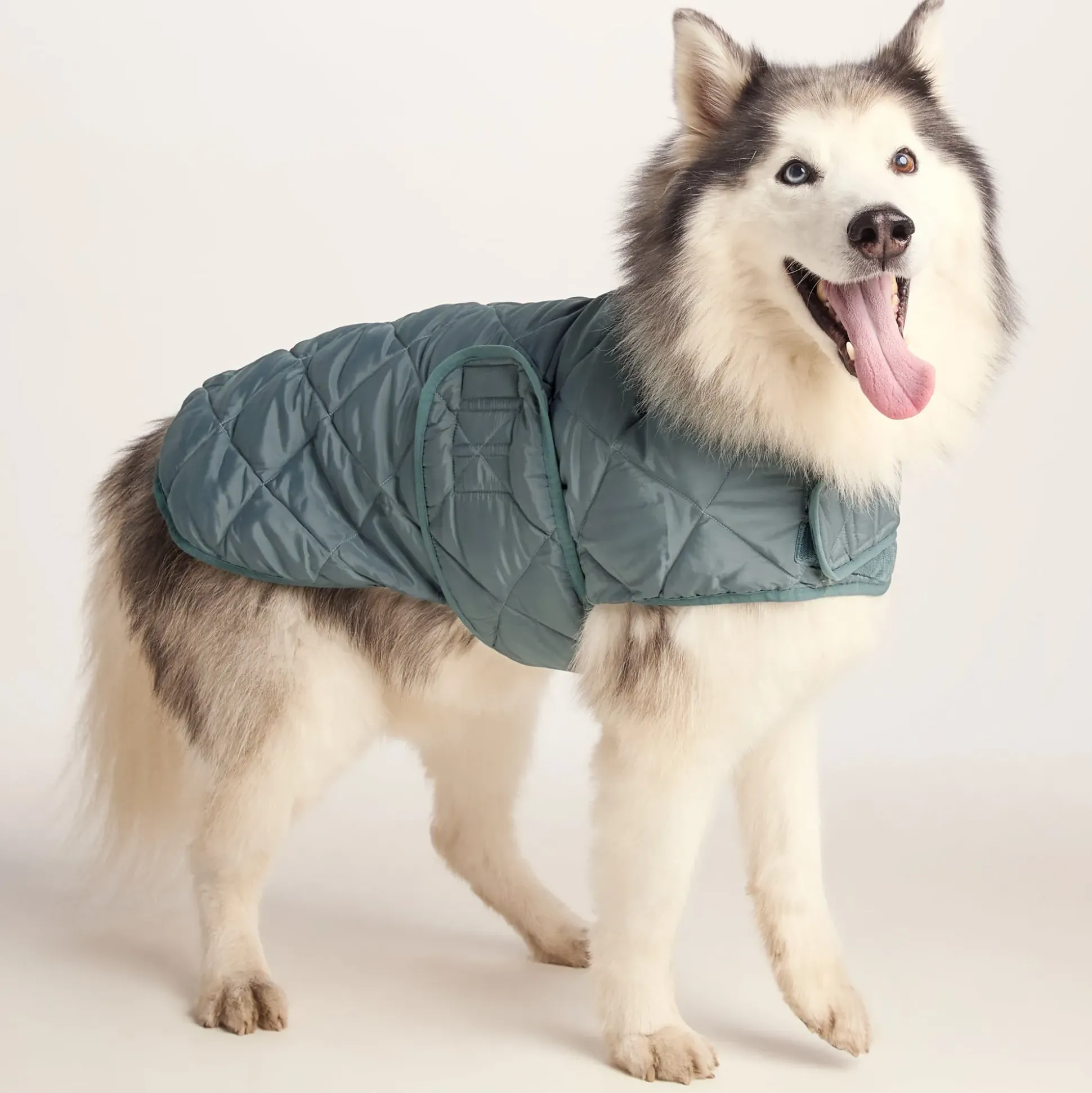 Fido Padded Dog Coat L - Graphite