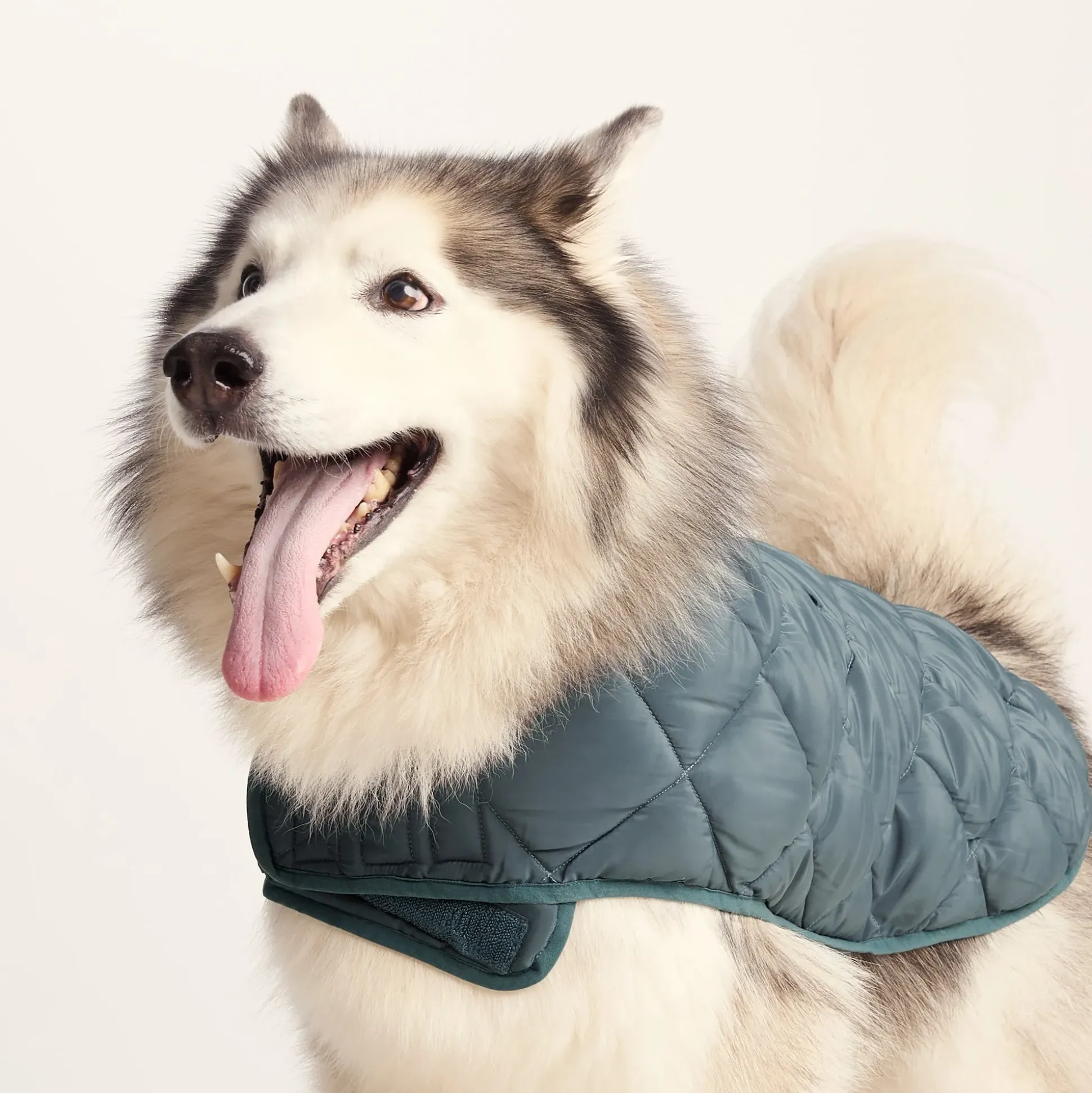 Fido Padded Dog Coat L - Graphite