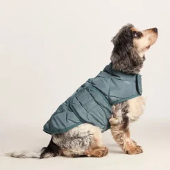Fido Padded Dog Coat M - Graphite