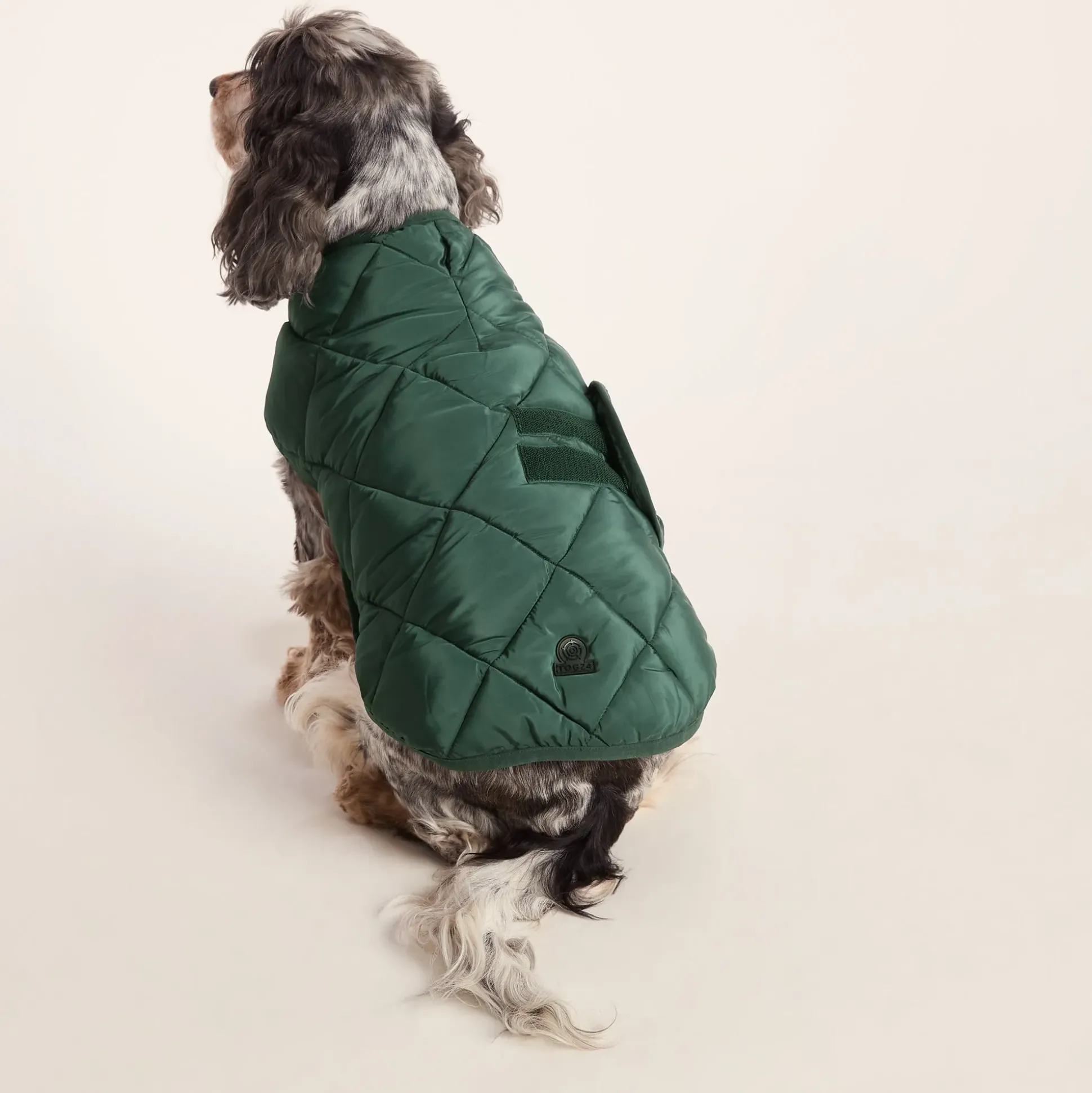 Fido Padded Dog Coat M - Racing Green