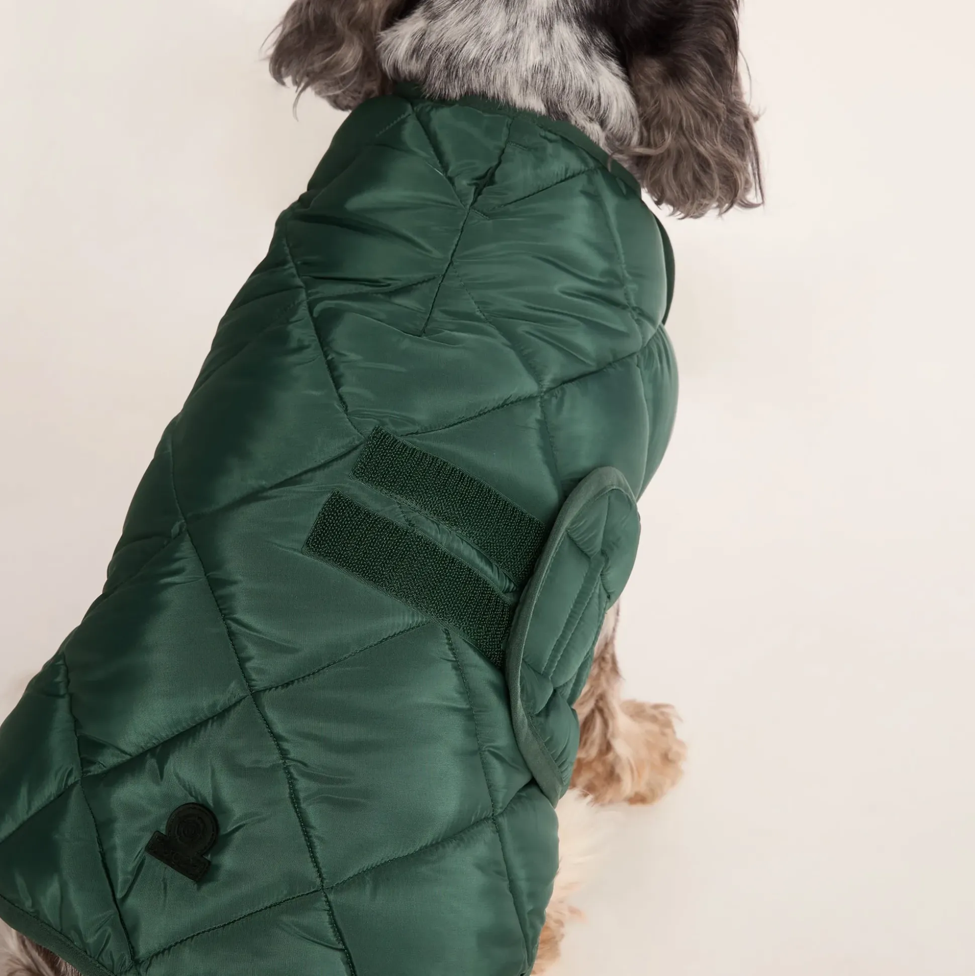 Fido Padded Dog Coat M - Racing Green