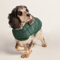 Fido Padded Dog Coat M - Racing Green
