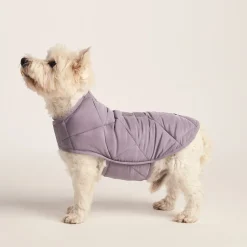 Fido Padded Dog Coat S - Dusky Lilac