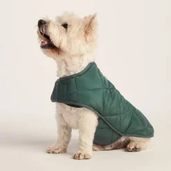Fido Padded Dog Coat S - Racing Green