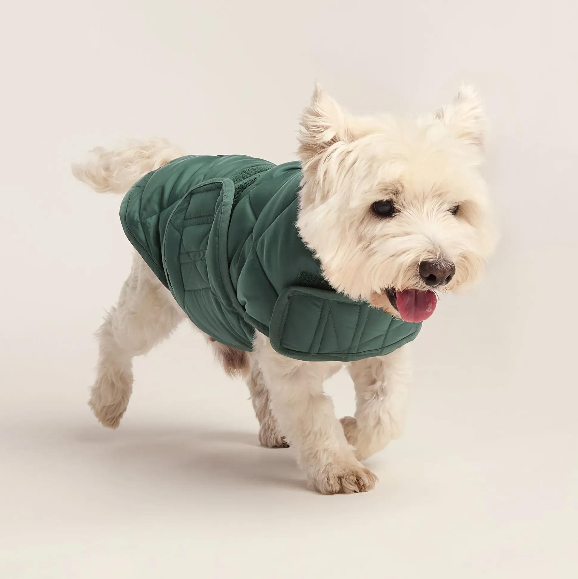 Fido Padded Dog Coat S - Racing Green