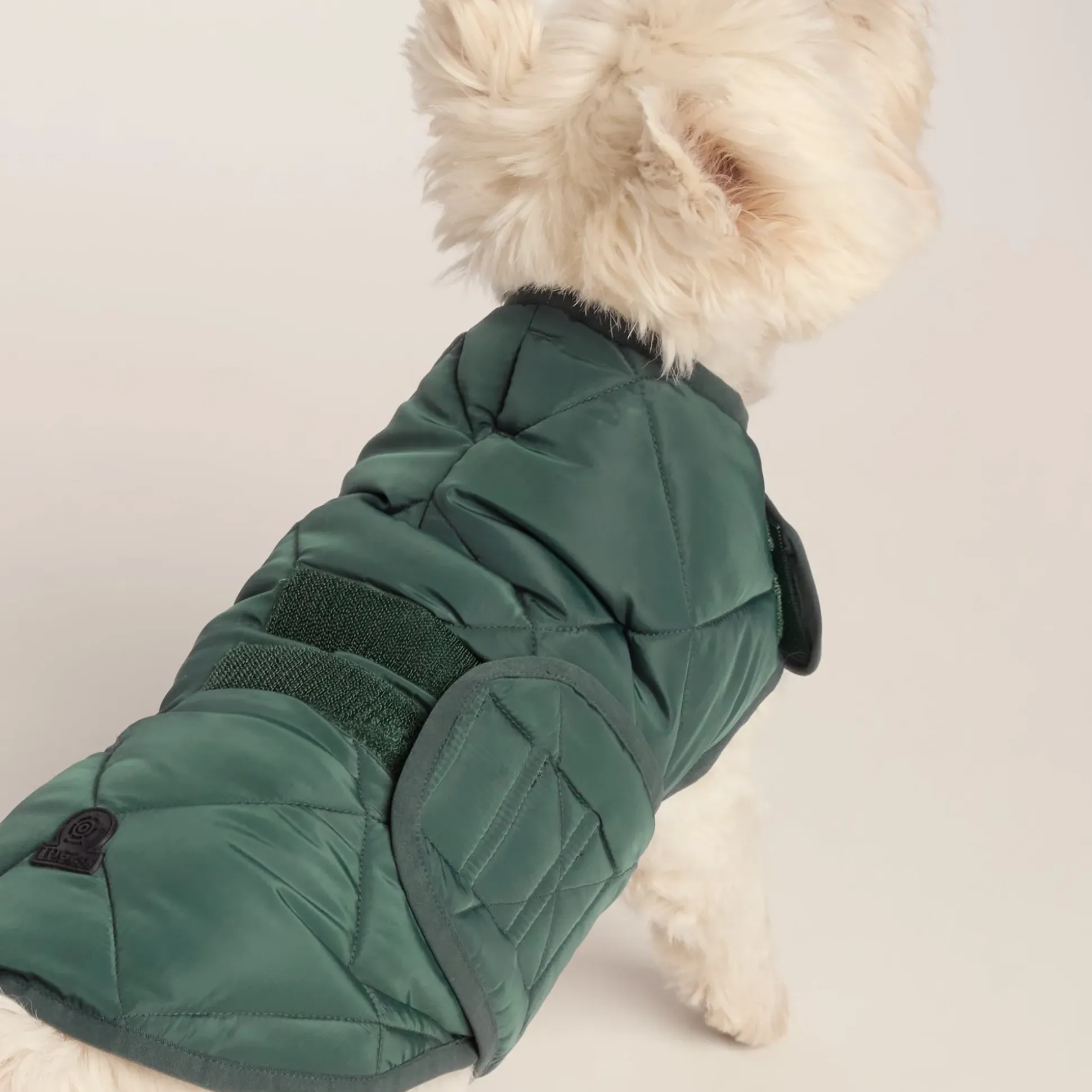 Fido Padded Dog Coat S - Racing Green