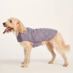 Fido Padded Dog Coat XL - Dusky Lilac