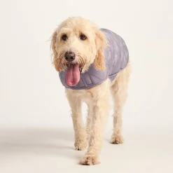 Fido Padded Dog Coat XL - Dusky Lilac