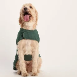 Fido Padded Dog Coat XL - Racing Green
