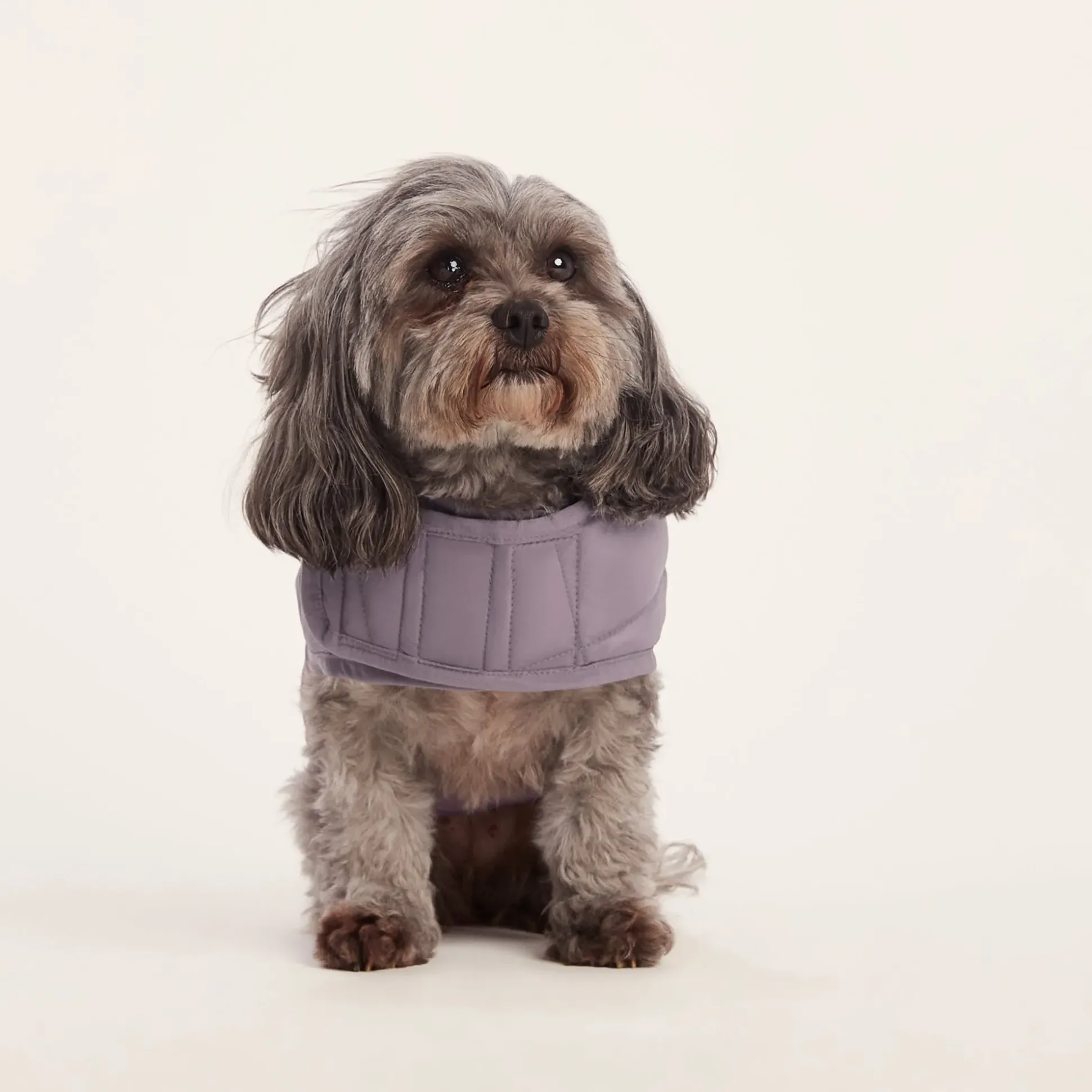 Fido Padded Dog Coat XS - Dusky Lilac