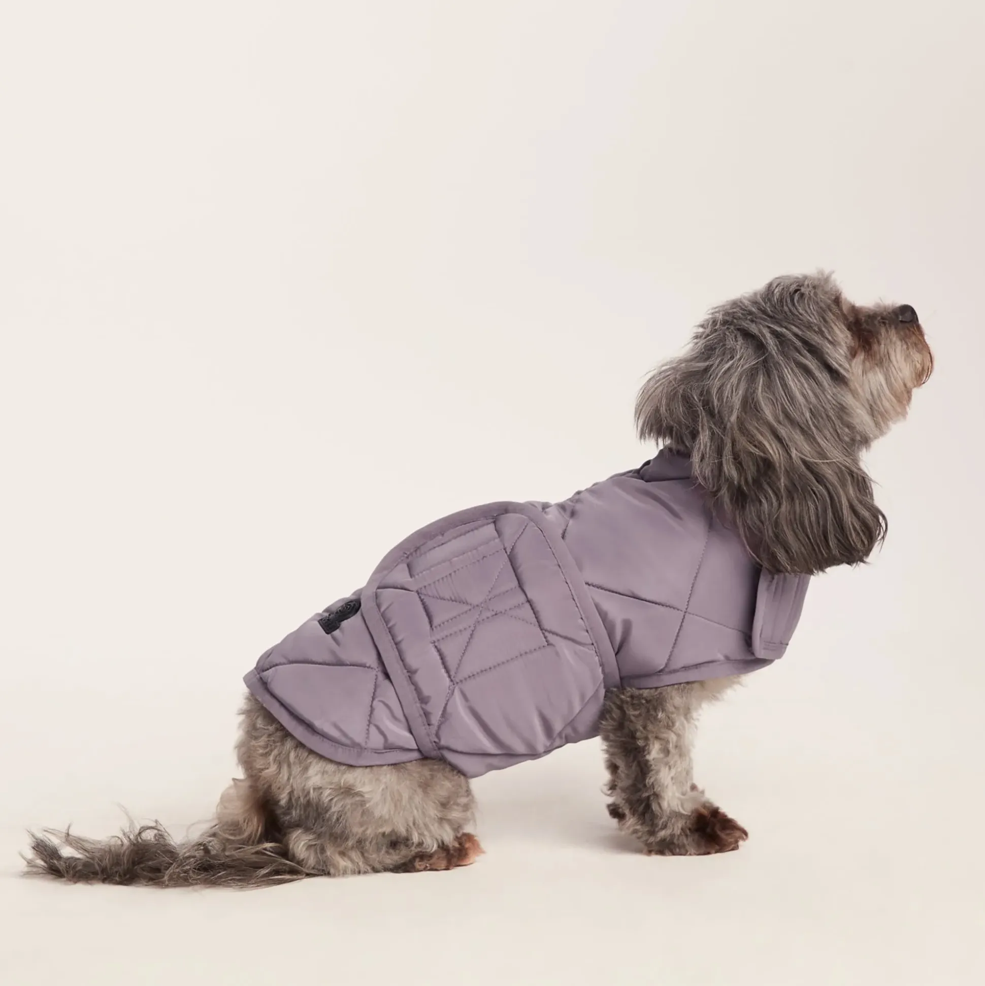 Fido Padded Dog Coat XS - Dusky Lilac