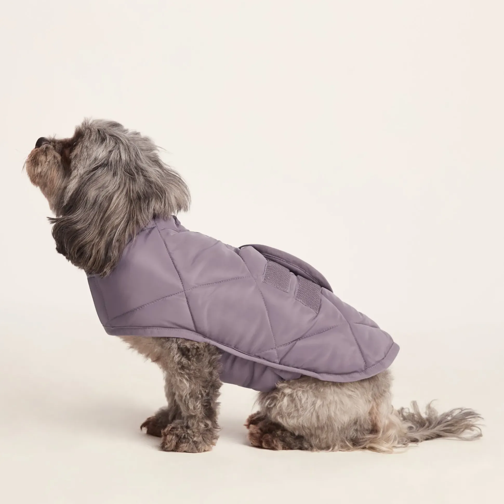 Fido Padded Dog Coat XS - Dusky Lilac