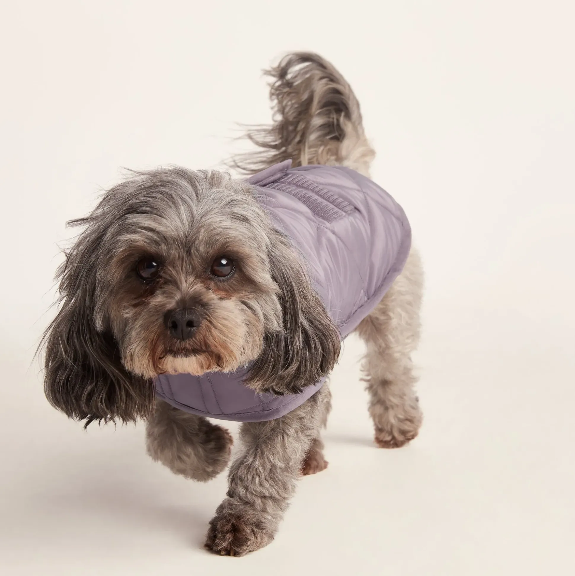 Fido Padded Dog Coat XS - Dusky Lilac