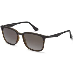 Hailgate Sunglasses - Tort/Gold