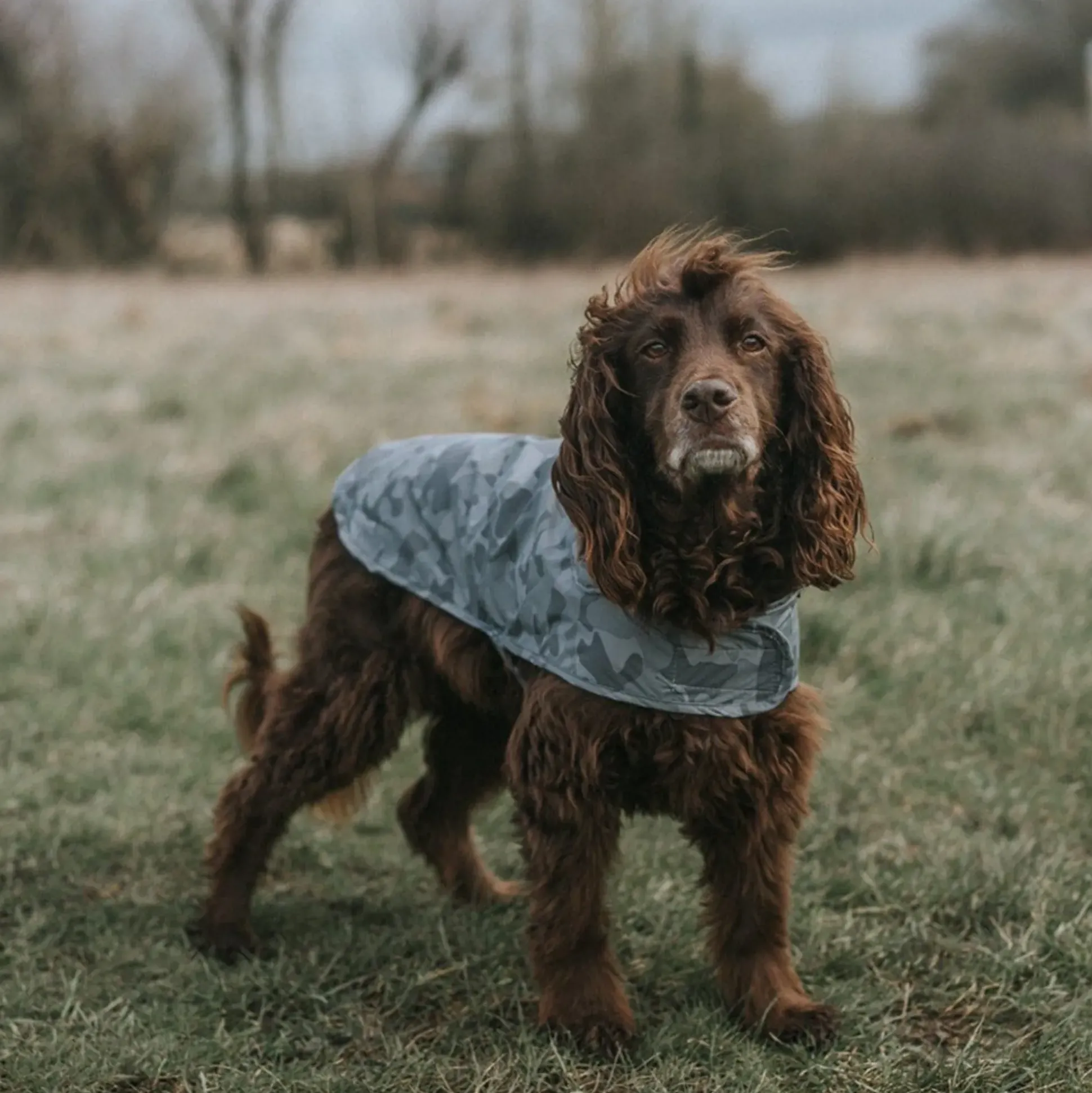 Hound Dog Coat XS - Steel Camo AOP