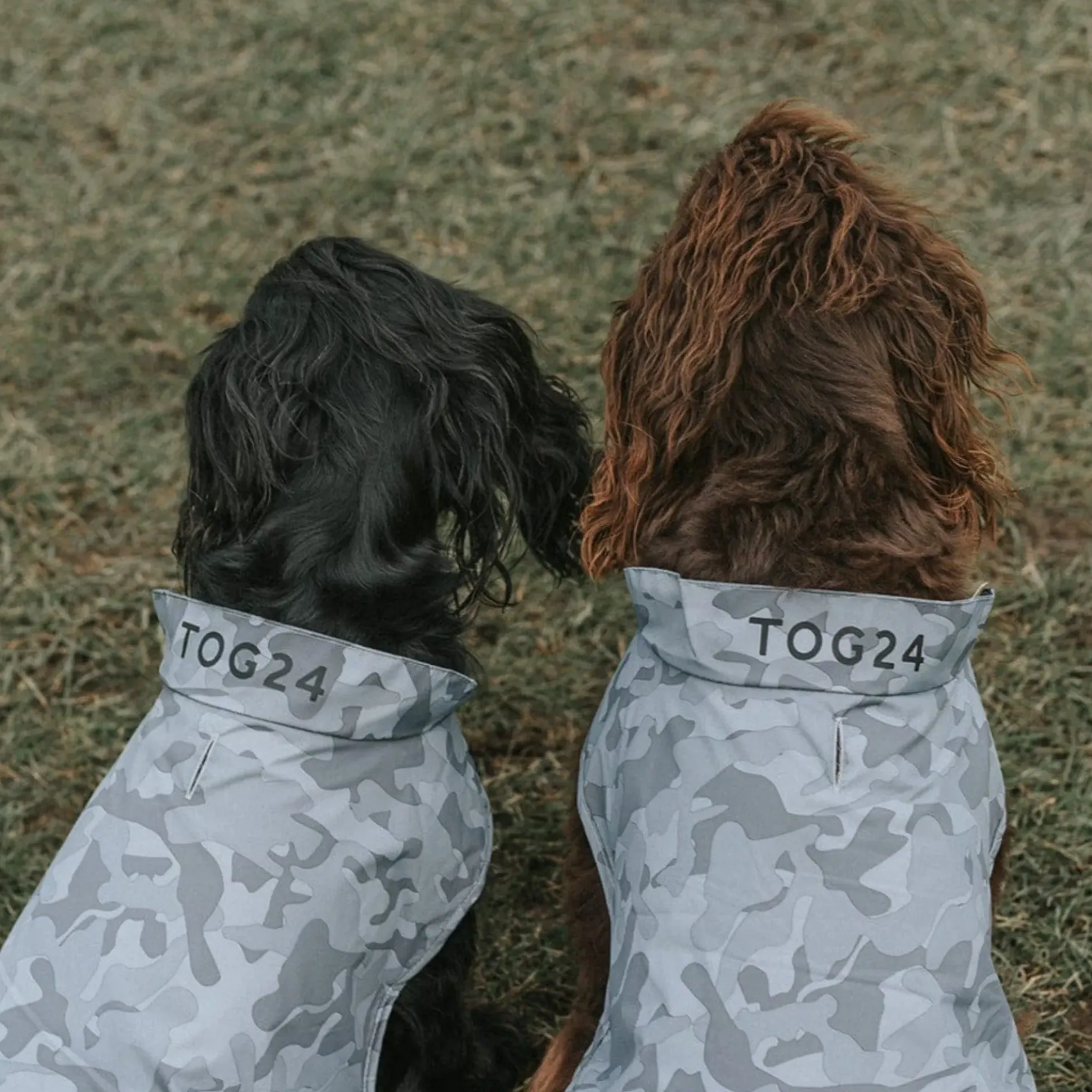 Hound Dog Coat XS - Steel Camo AOP
