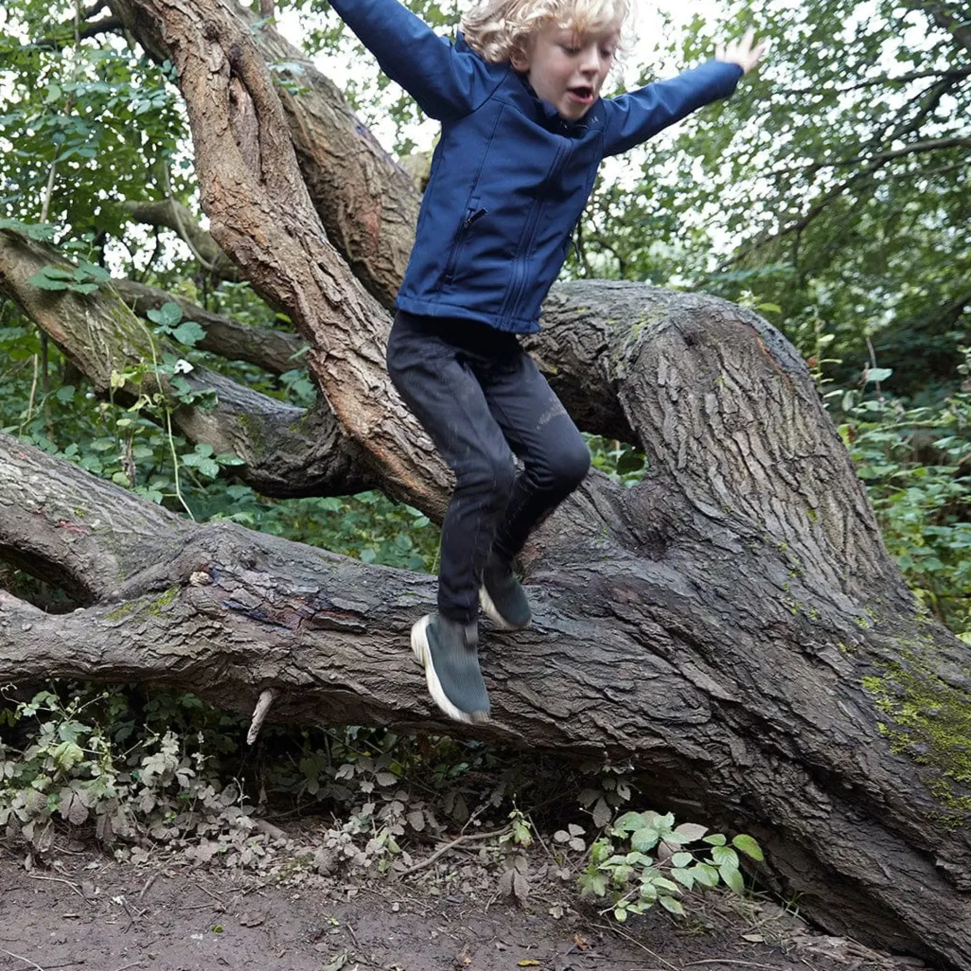 Koroma Kids Softshell Hooded Jacket - Navy