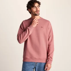 Warren Mens Relaxed Fit 100% Cotton Heavyweight Sweat - Redwood